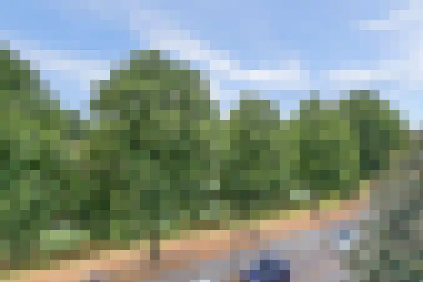 Lagemorgenlaan 174 's-Hertogenbosch thumbnail 29