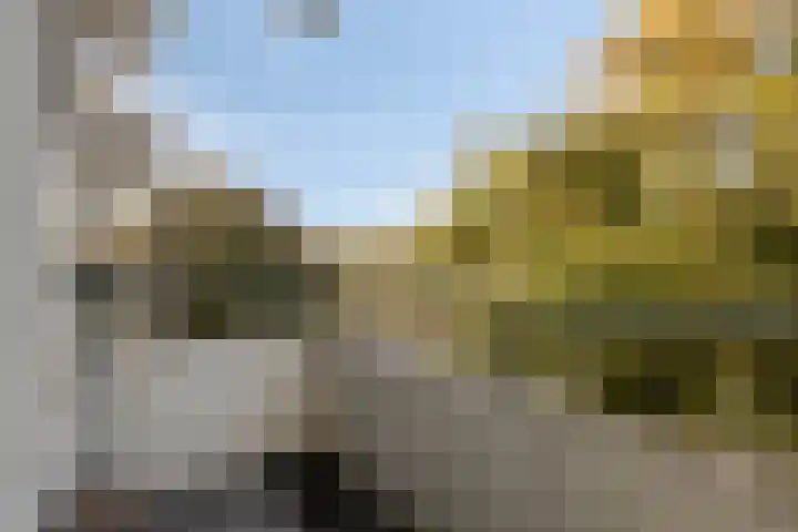 Lagemorgenlaan 180 's-Hertogenbosch thumbnail 11