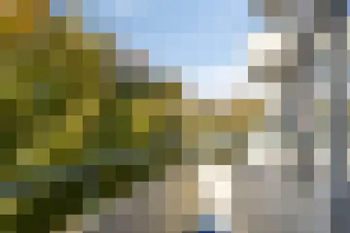 Lagemorgenlaan 180 's-Hertogenbosch thumbnail 12