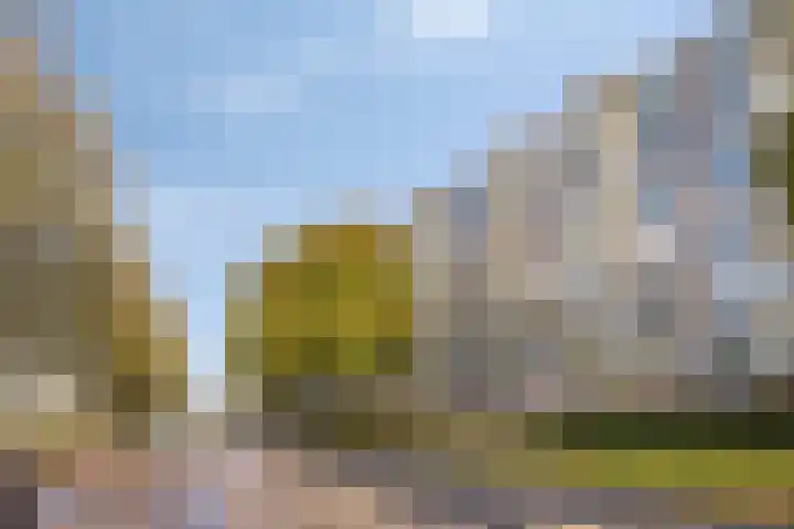 Lagemorgenlaan 180 's-Hertogenbosch thumbnail 25