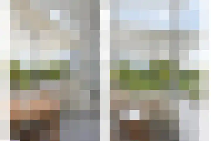 Lagemorgenlaan 186 's-Hertogenbosch thumbnail 13