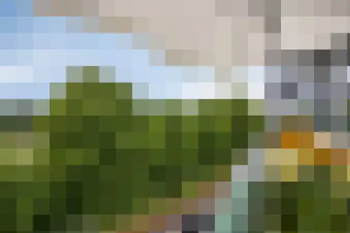 Lagemorgenlaan 186 's-Hertogenbosch thumbnail 23