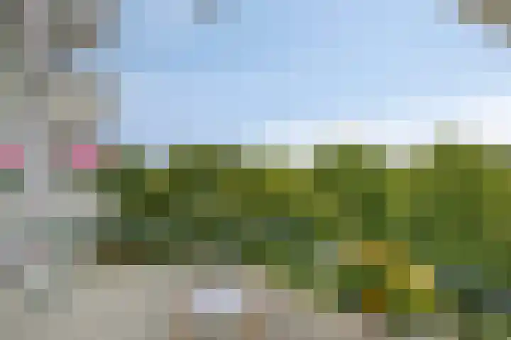 Lagemorgenlaan 186 's-Hertogenbosch thumbnail 24