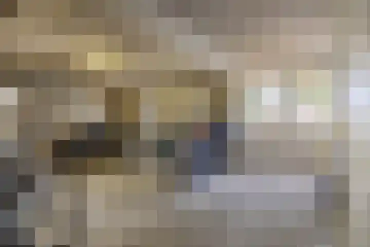 Lagemorgenlaan 186 's-Hertogenbosch thumbnail 27