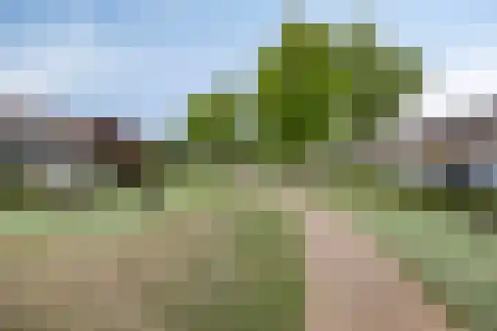 Lagemorgenlaan 186 's-Hertogenbosch thumbnail 32