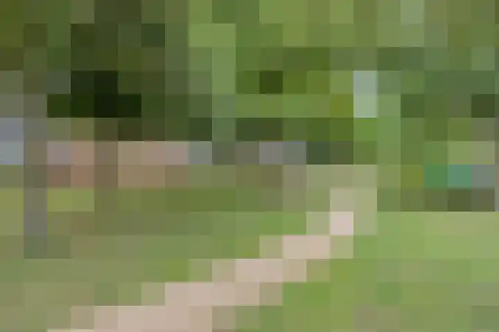 Lagemorgenlaan 186 's-Hertogenbosch thumbnail 33