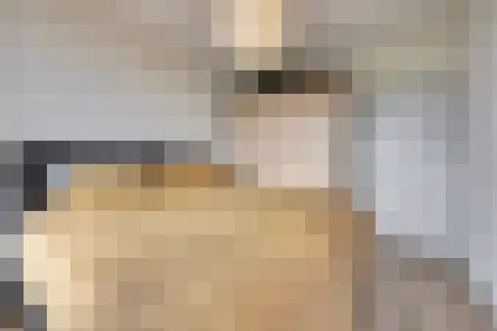 Lagemorgenlaan 196 's-Hertogenbosch thumbnail 11