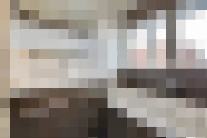 Lagemorgenlaan 196 's-Hertogenbosch thumbnail 13