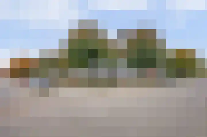 Lagemorgenlaan 196 's-Hertogenbosch thumbnail 22