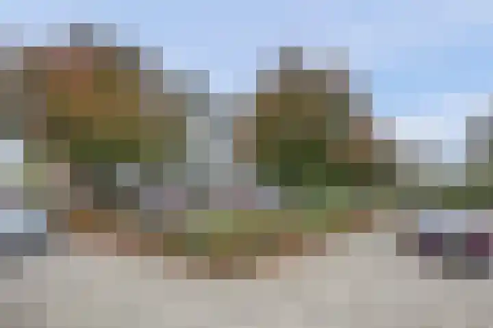 Lagemorgenlaan 196 's-Hertogenbosch thumbnail 23