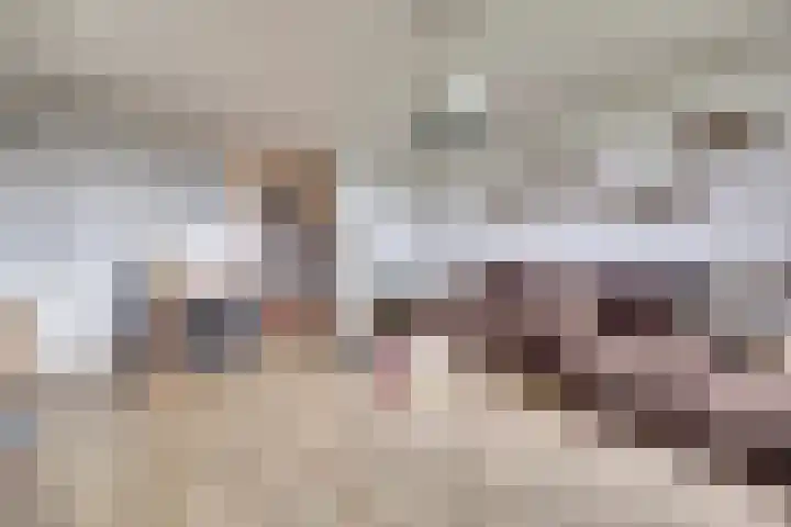 Lagemorgenlaan 196 's-Hertogenbosch thumbnail 4