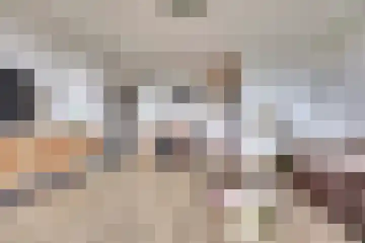 Lagemorgenlaan 196 's-Hertogenbosch thumbnail 5
