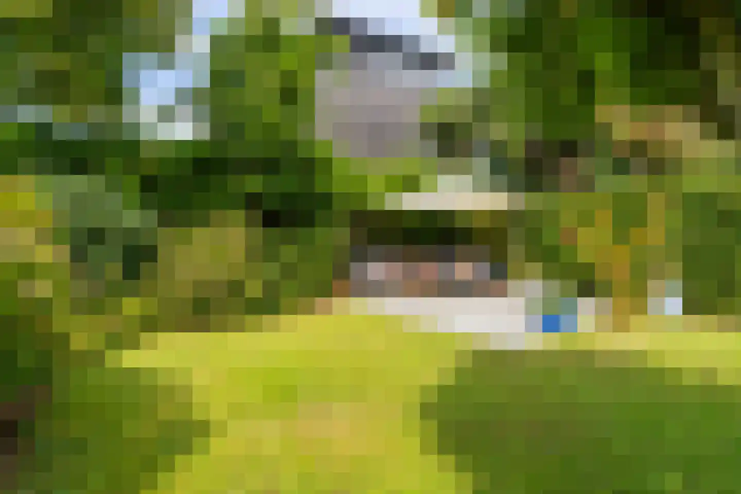 Lagemorgenlaan 25 's-Hertogenbosch thumbnail 21