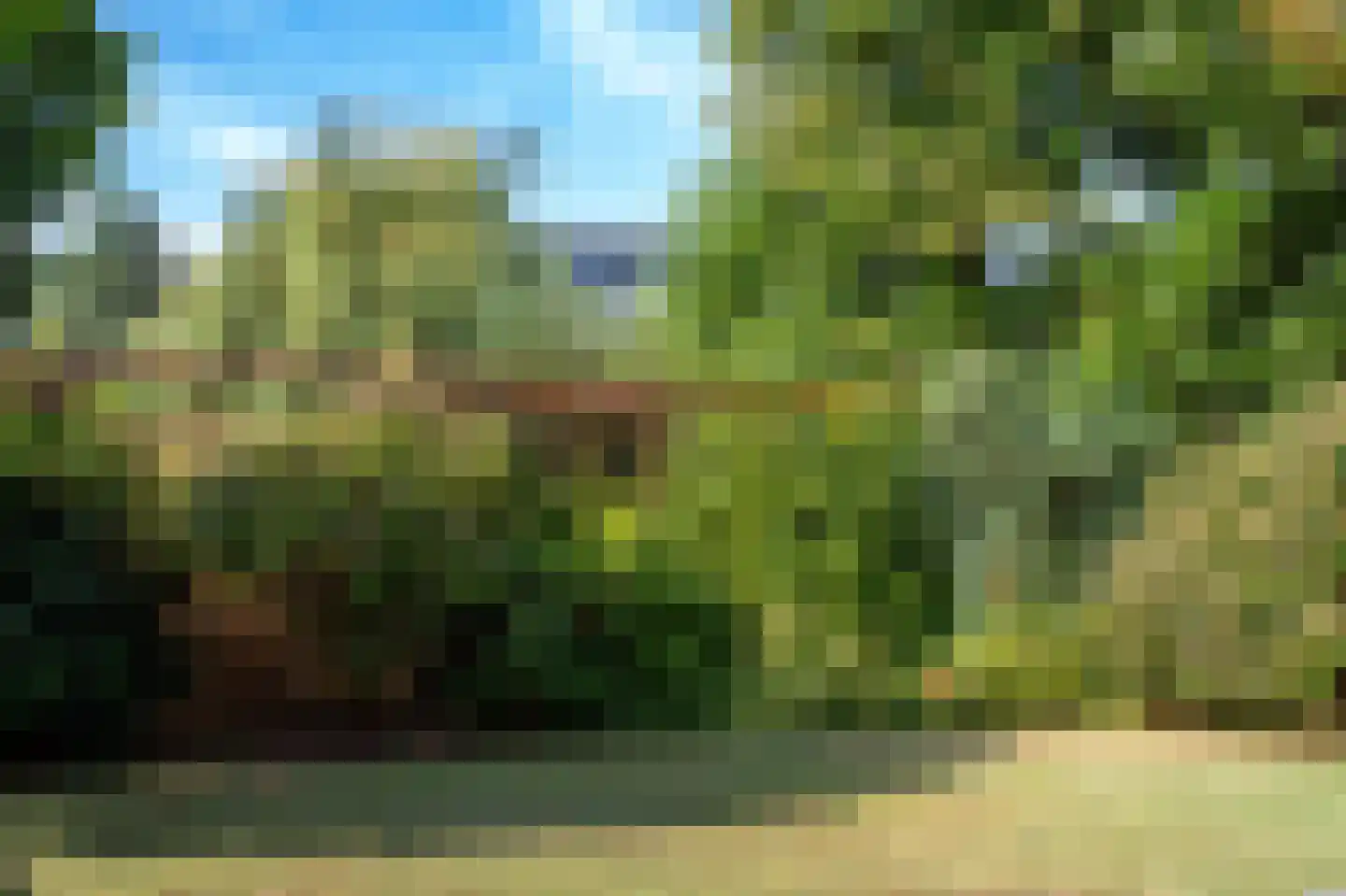 Lagemorgenlaan 25 's-Hertogenbosch thumbnail 23