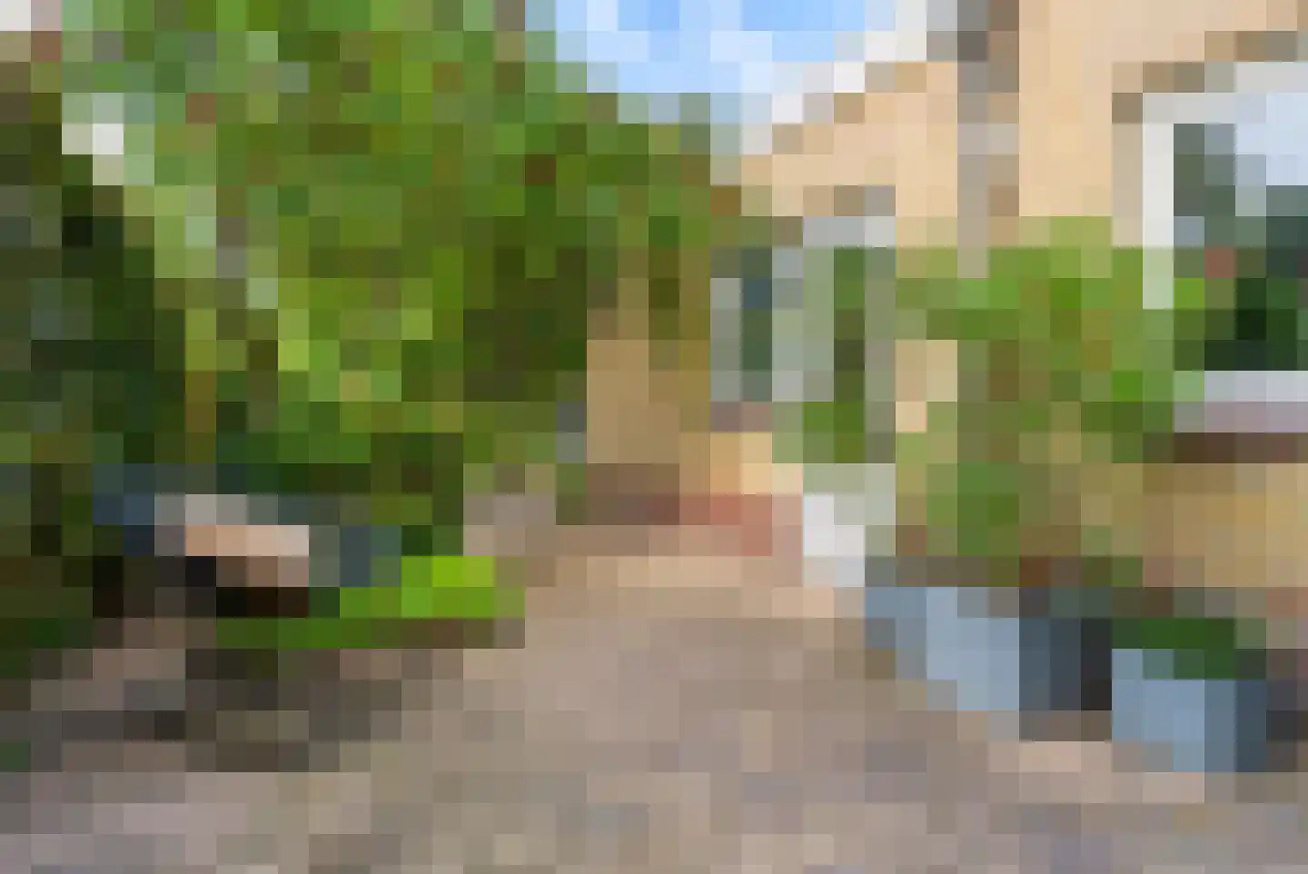 Lagemorgenlaan 25 's-Hertogenbosch thumbnail 27