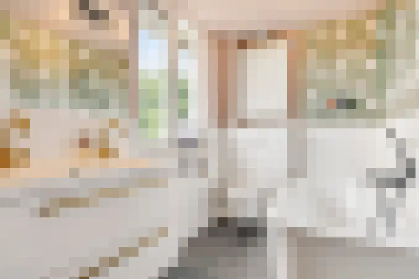 Lagemorgenlaan 25 's-Hertogenbosch thumbnail 39