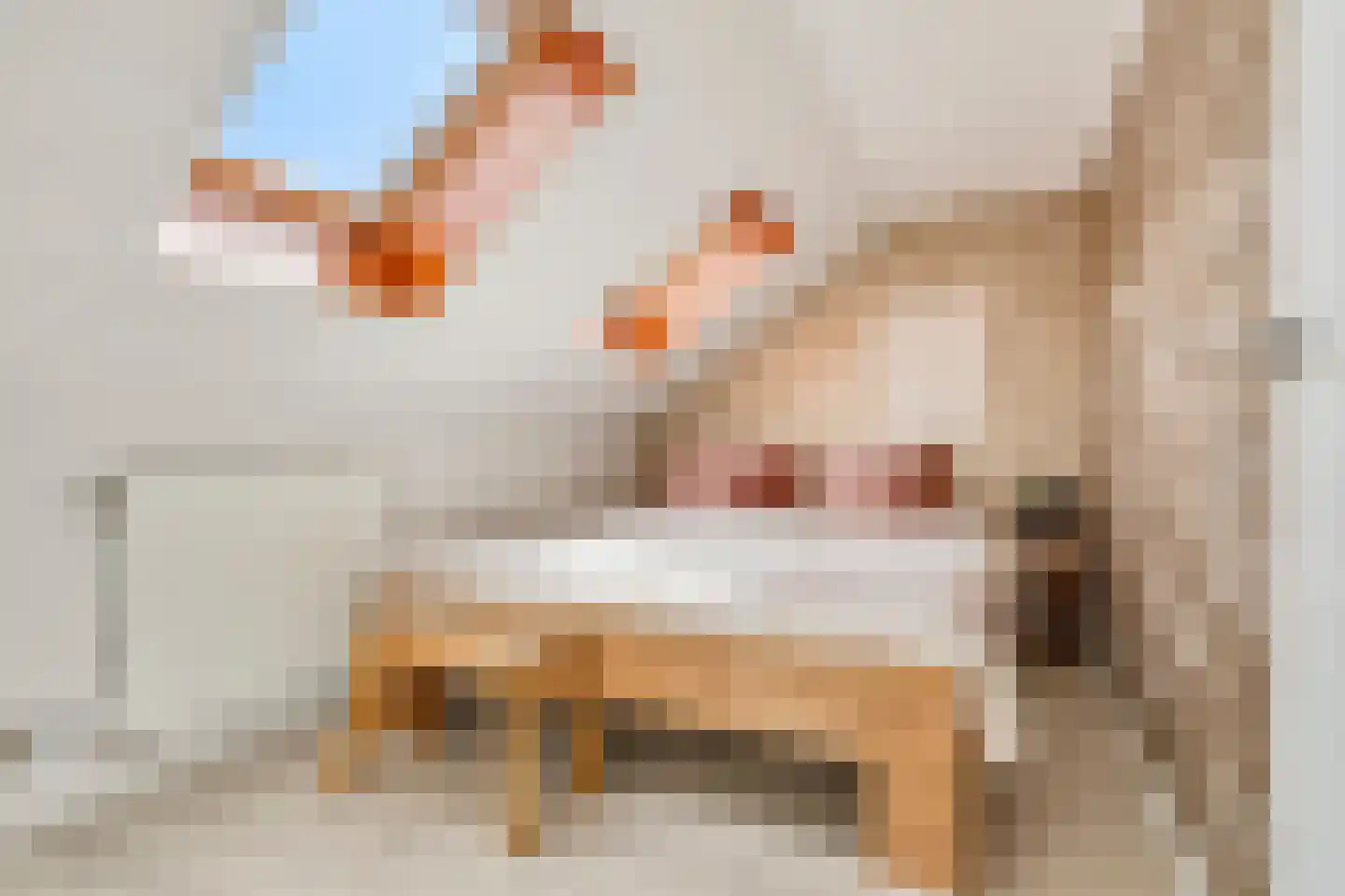 Lagemorgenlaan 25 's-Hertogenbosch thumbnail 46