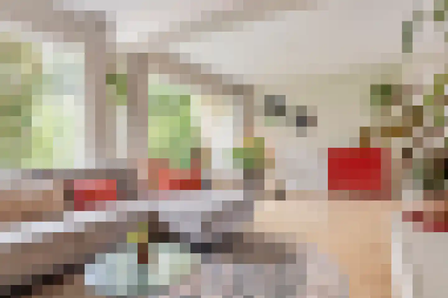 Lagemorgenlaan 25 's-Hertogenbosch thumbnail 8
