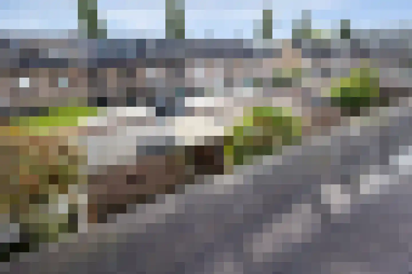 Lagemorgenlaan 74 's-Hertogenbosch thumbnail 30