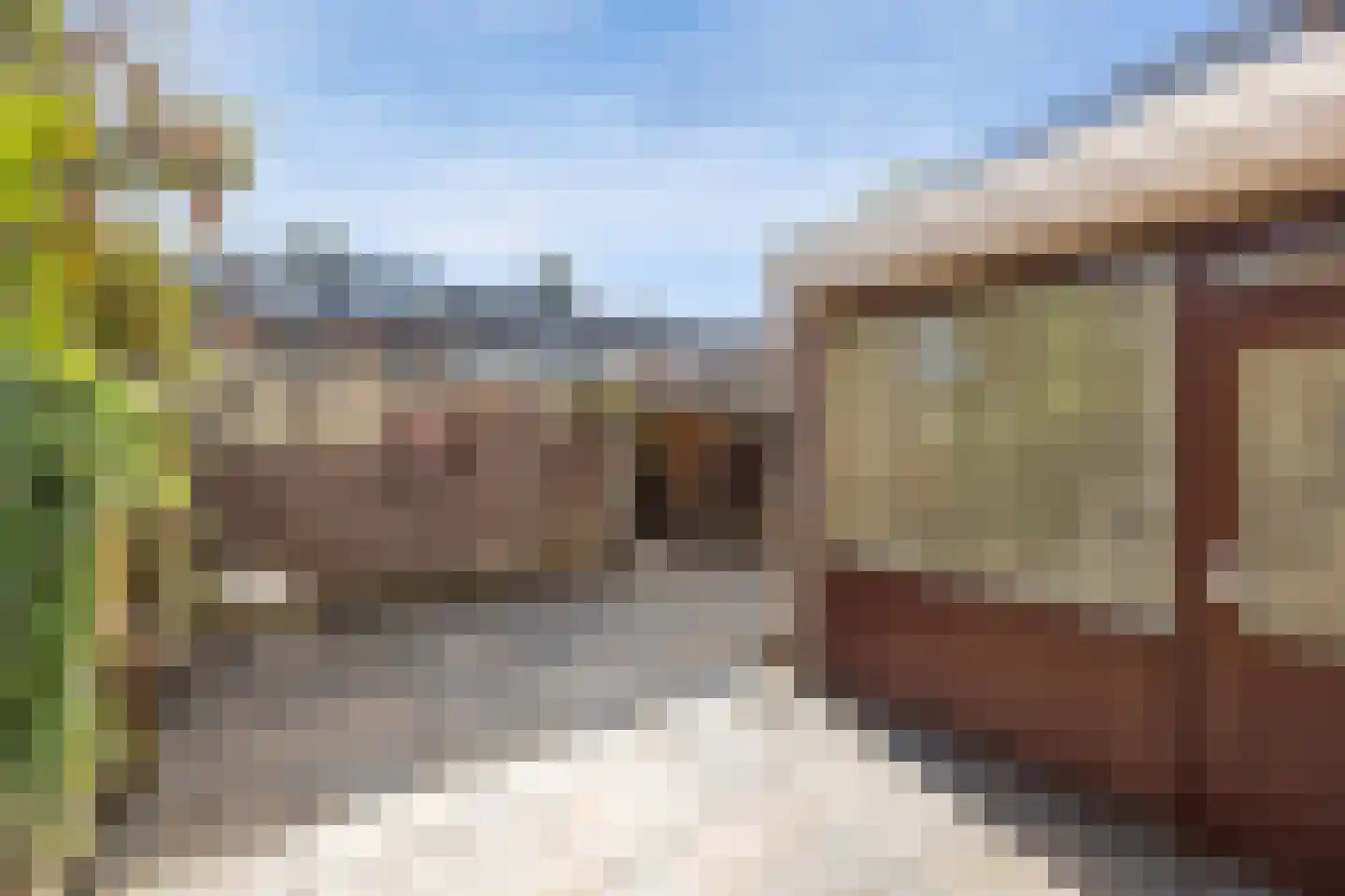 Lagemorgenlaan 74 's-Hertogenbosch thumbnail 31