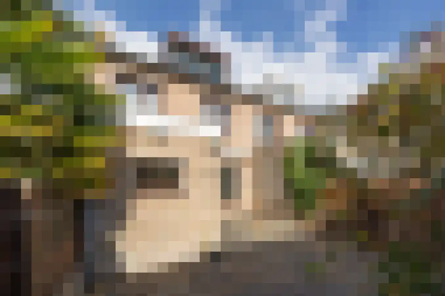Lagemorgenlaan 74 's-Hertogenbosch thumbnail 34