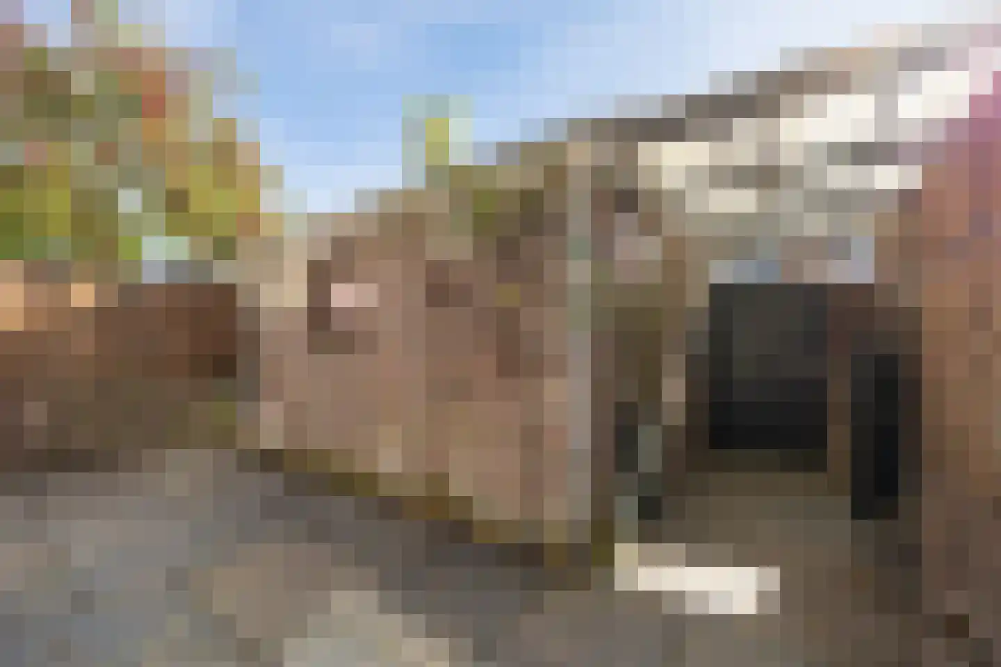 Lagemorgenlaan 74 's-Hertogenbosch thumbnail 35