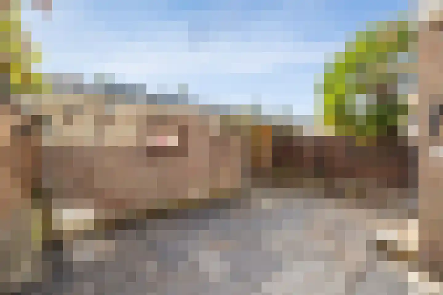 Lagemorgenlaan 74 's-Hertogenbosch thumbnail 36