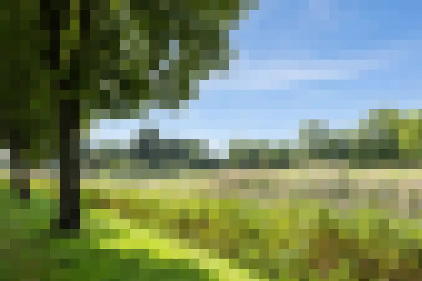 Lagemorgenlaan 74 's-Hertogenbosch thumbnail 46