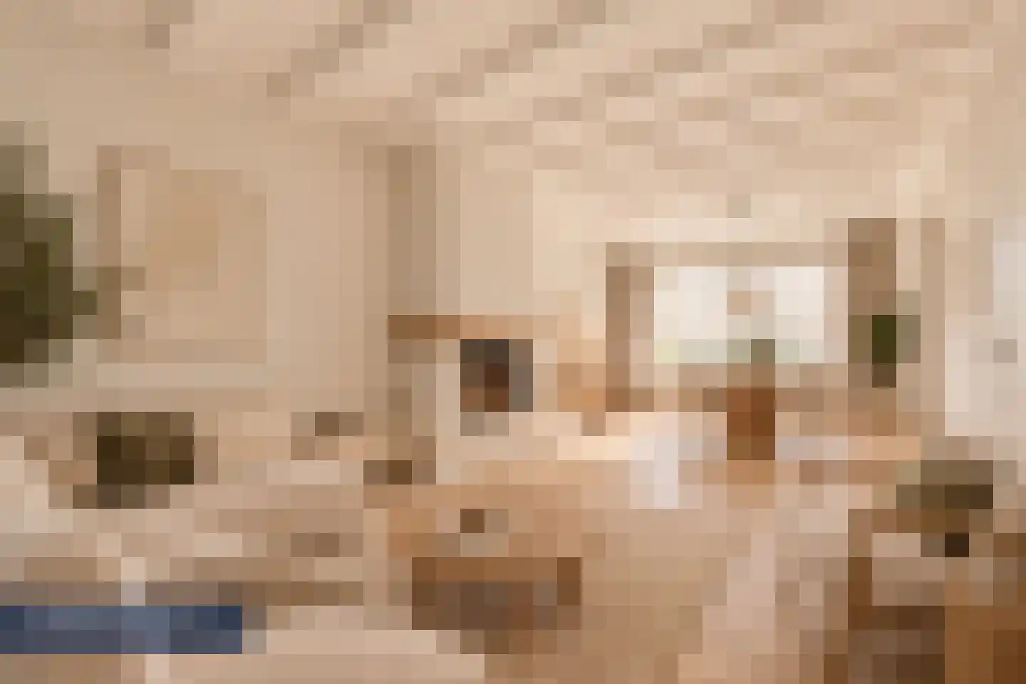 Lagemorgenlaan 74 's-Hertogenbosch thumbnail 5