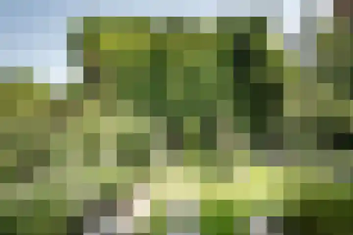 Lagendijk 111 Ridderkerk thumbnail 21