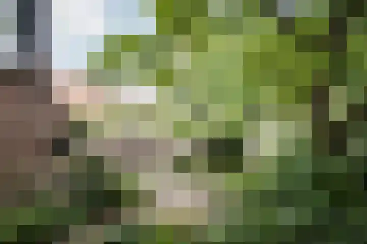 Lagendijk 111 Ridderkerk thumbnail 22