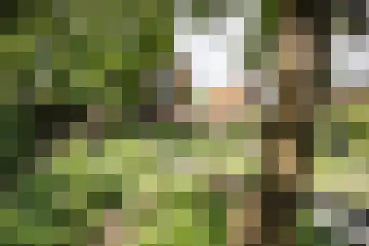 Lagendijk 111 Ridderkerk thumbnail 26
