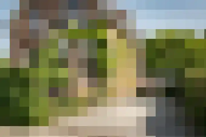 Lagendijk 111 Ridderkerk thumbnail 54