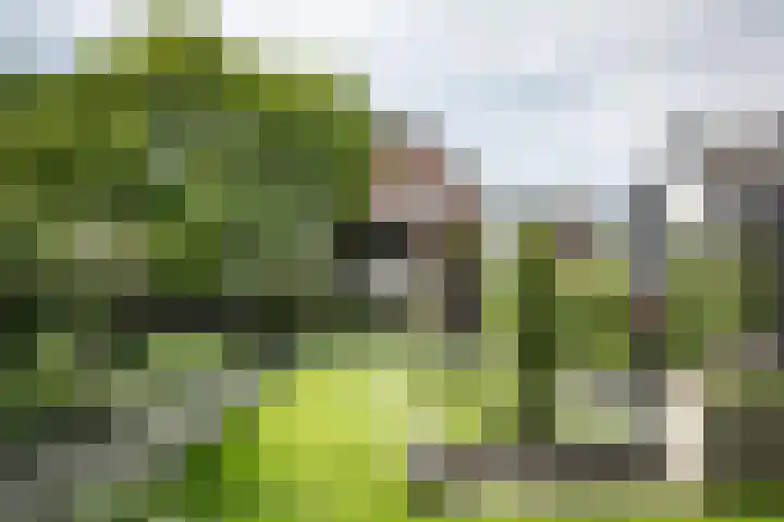 Lagendijk 111 Ridderkerk thumbnail 62