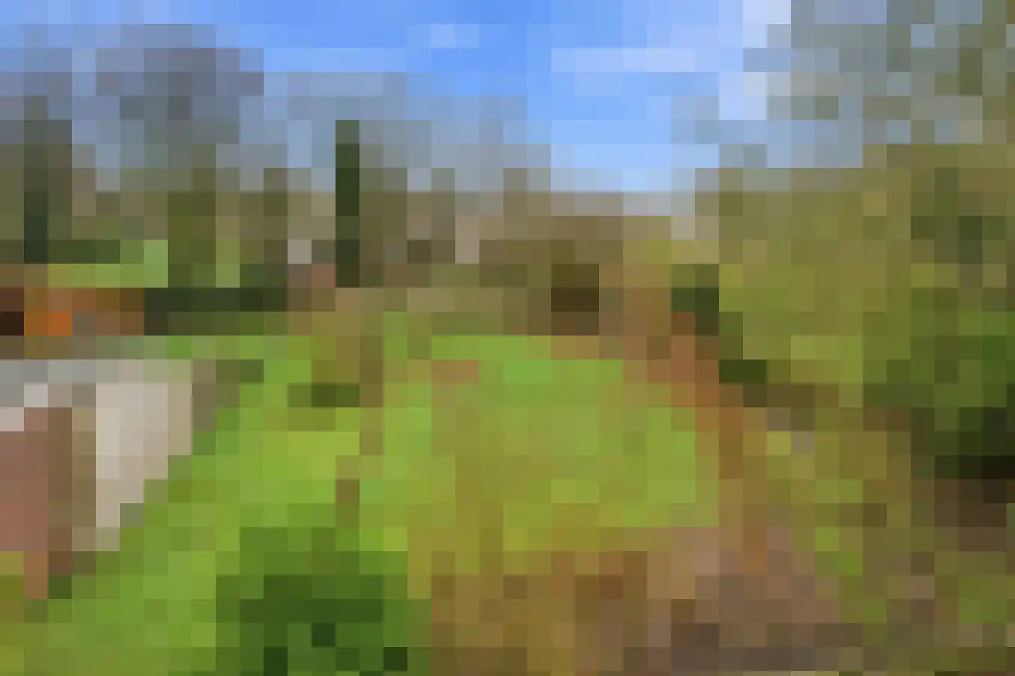 Lagendijk 117 Ridderkerk thumbnail 19