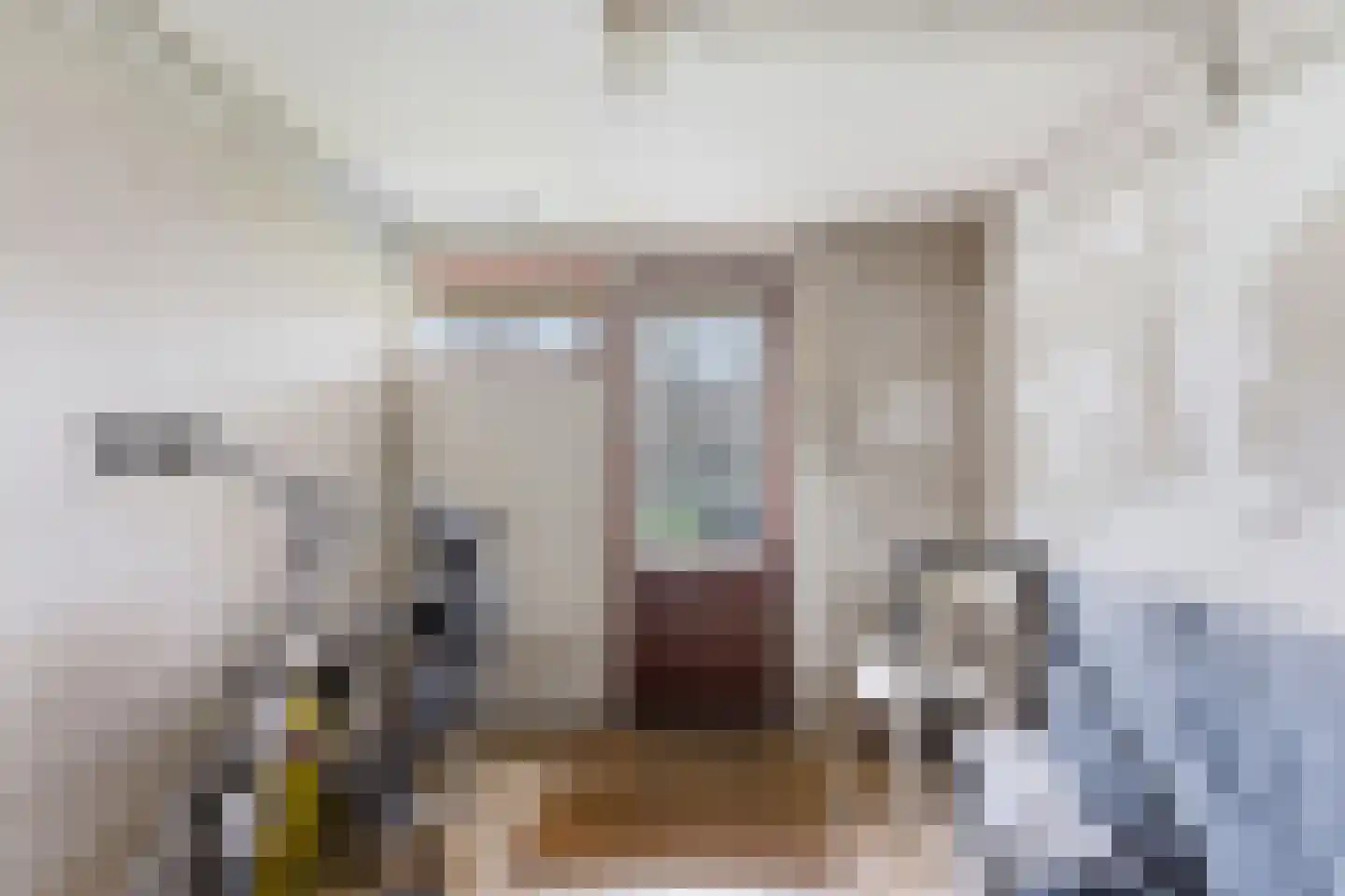 Lagendijk 117 Ridderkerk thumbnail 38