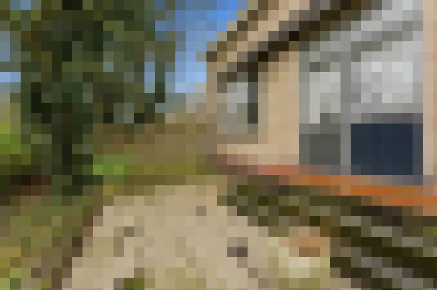 Lagendijk 117 Ridderkerk thumbnail 39