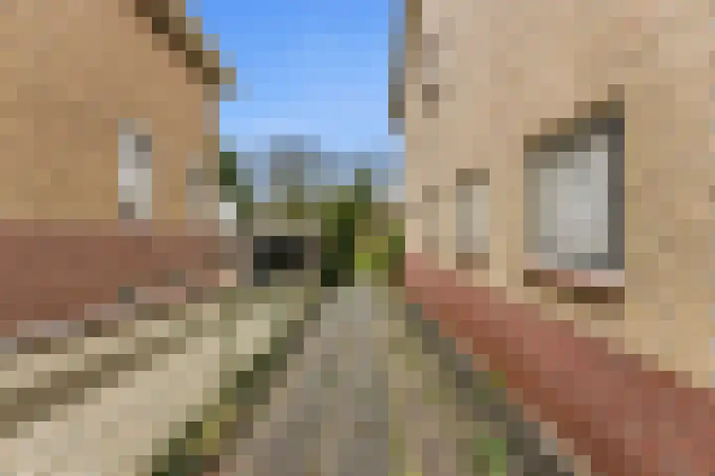 Lagendijk 117 Ridderkerk thumbnail 49