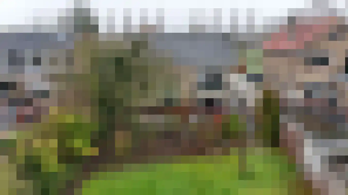 Lagendijk 117 Ridderkerk thumbnail 56