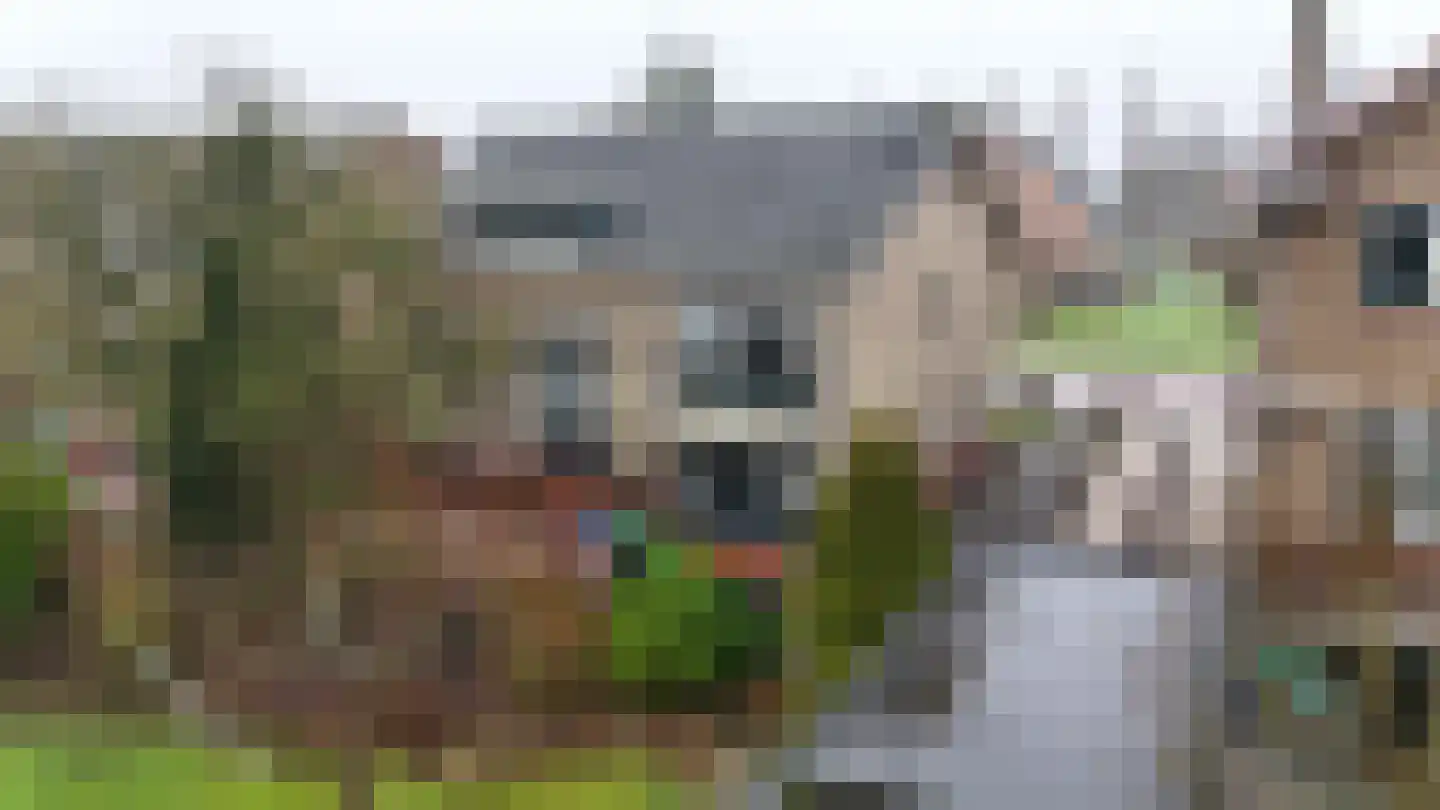 Lagendijk 117 Ridderkerk thumbnail 57