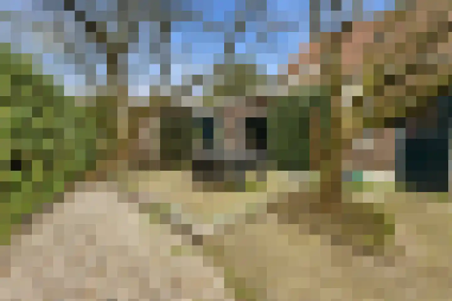 Lagendijk 128 Ridderkerk thumbnail 58