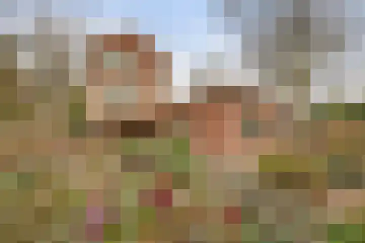 Lagendijk 153 Ridderkerk thumbnail 4