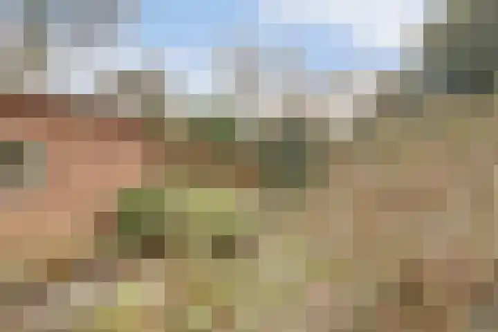 Lagendijk 153 Ridderkerk thumbnail 42