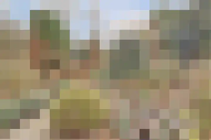 Lagendijk 153 Ridderkerk thumbnail 43