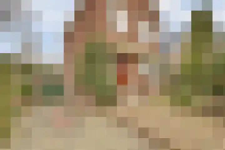 Lagendijk 153 Ridderkerk thumbnail 5