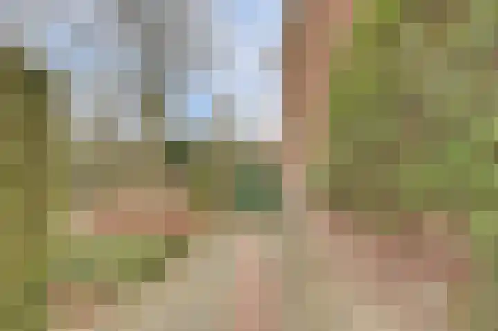 Lagendijk 153 Ridderkerk thumbnail 6
