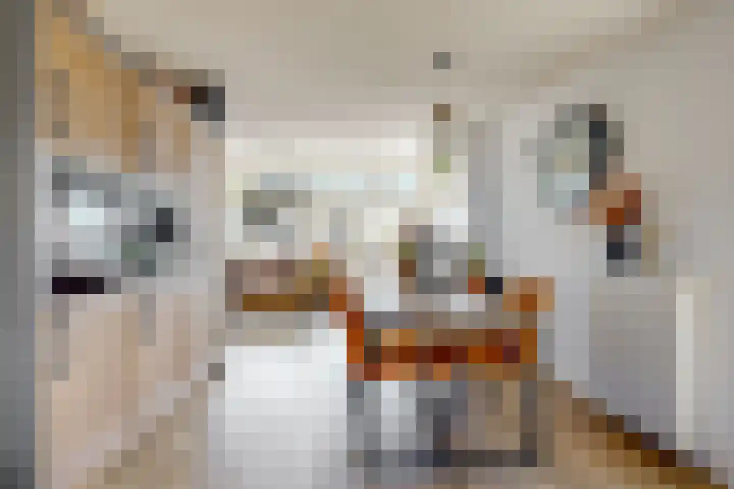 Lagendijk 17 d Uitgeest thumbnail 11