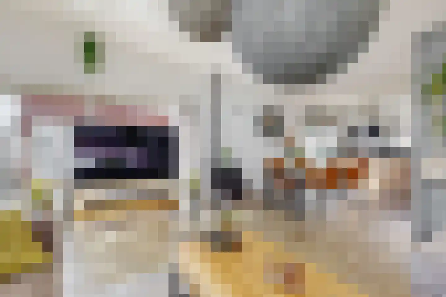 Lagendijk 17 d Uitgeest thumbnail 9