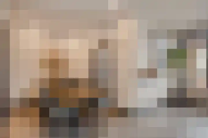 Lagendijk 170 Ridderkerk thumbnail 13
