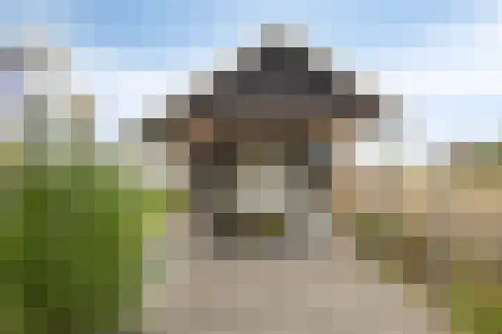 Lagendijk 170 Ridderkerk thumbnail 31